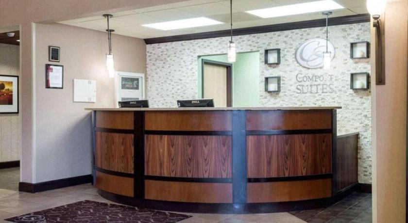 Hotel Comfort Starkville