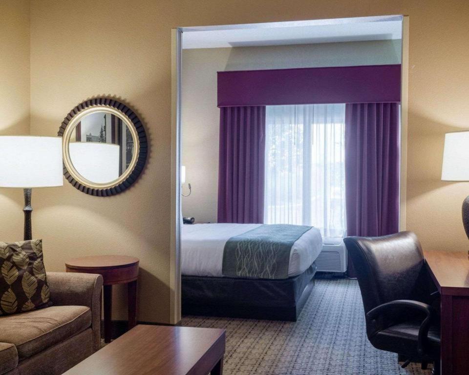 Comfort Hotel Starkville