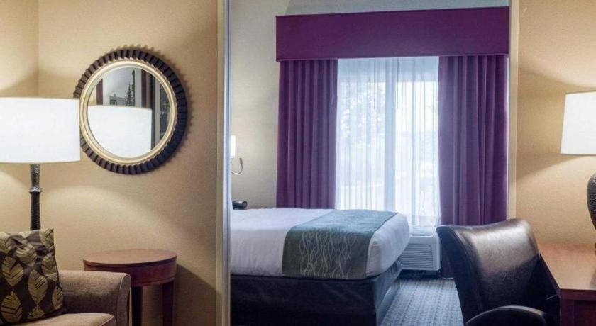 Comfort Hotel